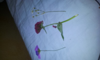 20120523_220432.jpg
