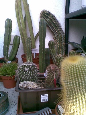 Bild008.jpg