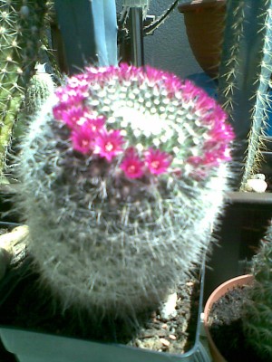 Bild006.jpg