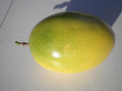 fruit 004.JPG