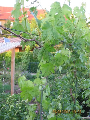 IMG_8614.JPG