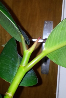 2012-05-26 10.05.33.1.jpg