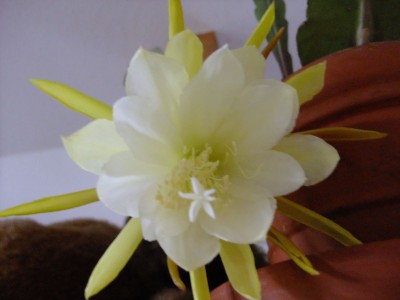 DSCF2751.JPG