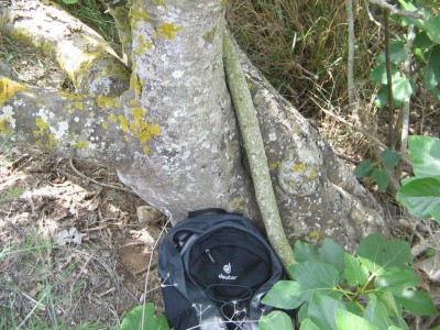 K1024_IMG_0005.JPG