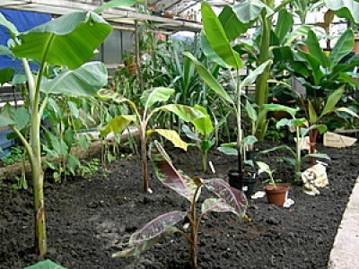PICT0011-1.JPG