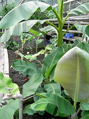 PICT0002-1.JPG