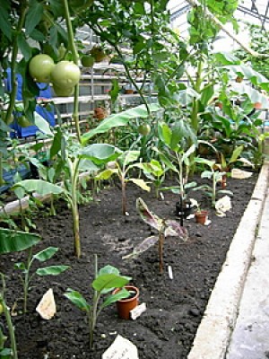 PICT0001-1.JPG
