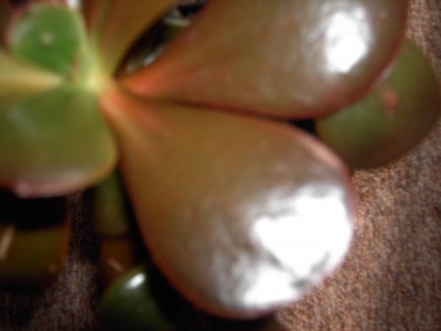 PICT2332.JPG