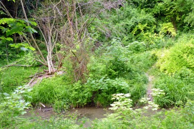 1-P1020627.JPG