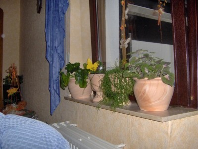 Hpim0050.jpg