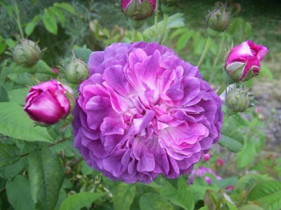 PIC_0104 (640x480).jpg