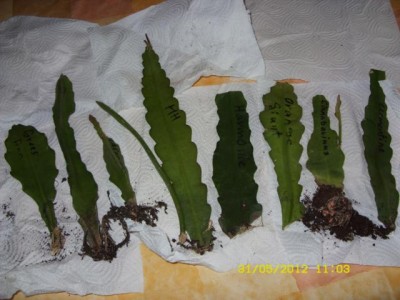 Photo1.jpg