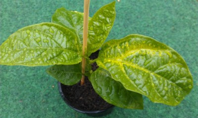 IMAG0324.jpg