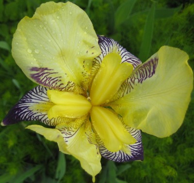 Garten 066.jpg
