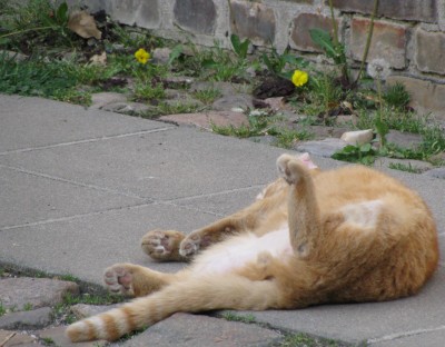 auf der Straße....jpg