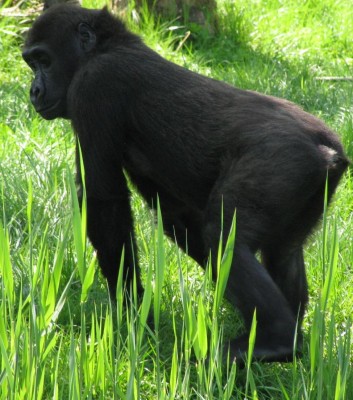 kleiner Süßer....jpg