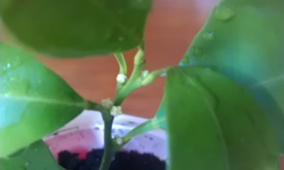 IMAG0337.jpg