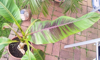 20120526_201453_1.jpg