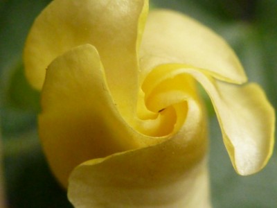 P1150546.JPG