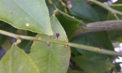 IMAG0353.jpg