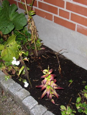 P9030044_01.jpg