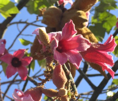 Bild green24 2 078.jpg