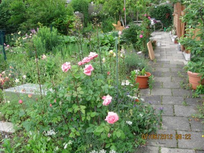 Garten 2012_1801.jpg