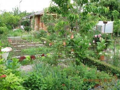 Garten 2012_1799.jpg