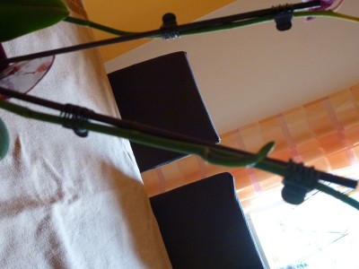 P1000233.JPG