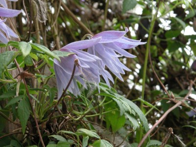 dscn7756.jpg