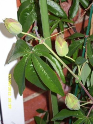 Photo22.jpg
