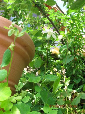 2012_9483.jpg