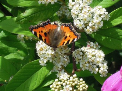 09062012 005.JPG