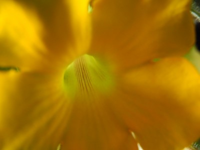 20120608-155002-66.jpg