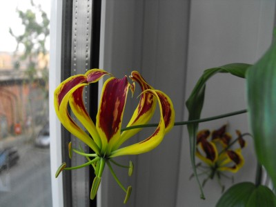 DSCF6042.JPG