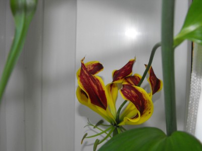DSCF6040.JPG