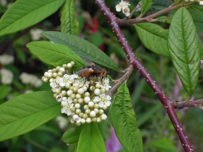 09062012 001.JPG