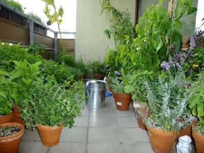 balkonende2011.jpg