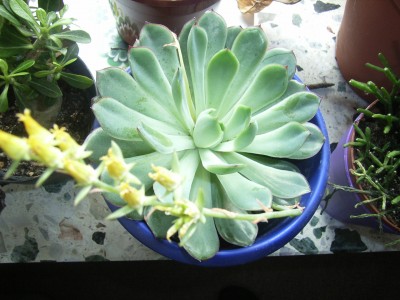 RIMG0040.JPG