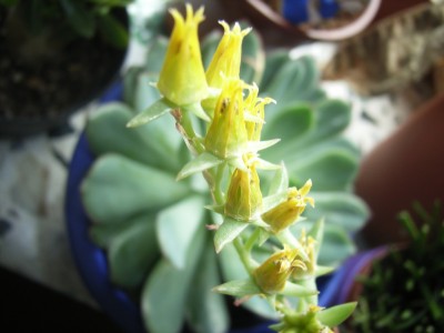 RIMG0039.JPG