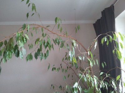 2012-06-10 14.05.20.jpg