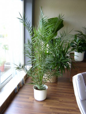 gekauft am 05.09.2007.JPG