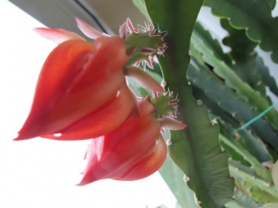 10.06.12 003.JPG