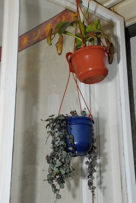 dsc_8979_Fenster_Ampeln.jpg