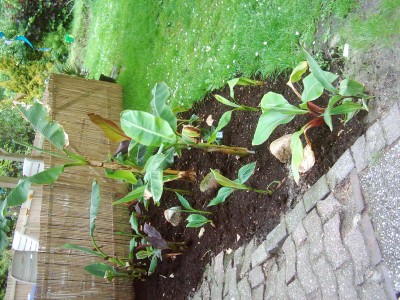 Bilder von 02.06.07 002.jpg