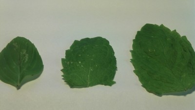 2012-06-12_09-00-21_952.jpg