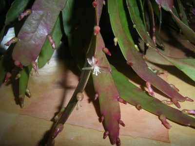 RIMG0046.JPG