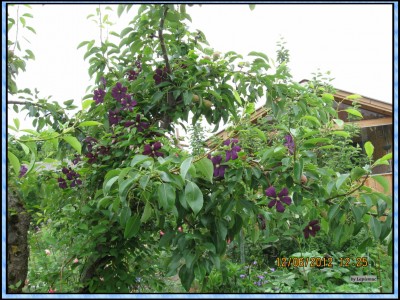 IMG_8864.JPG