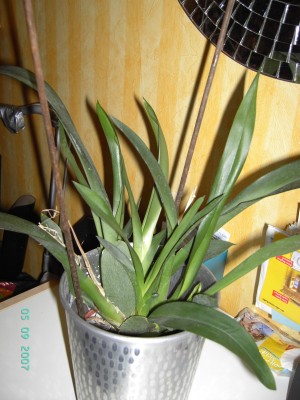 PICT1454.JPG
