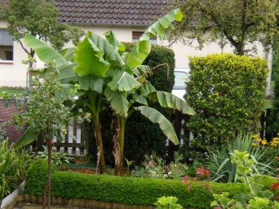 Meine Bilder 366a.jpg